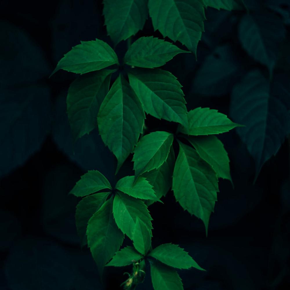  Malayalam and tamil Cover Relaxing   New  Old  Lofi  Songs album cover