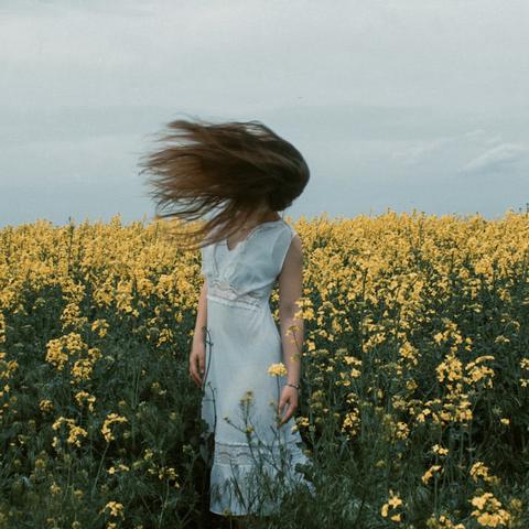 Like the Wind